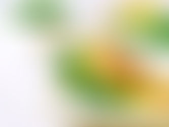 Avocado & Arugula Omelet