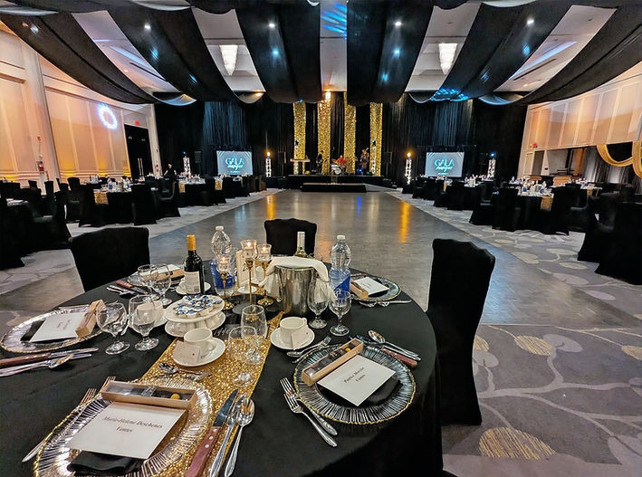 audiovisuel-sonorisation-soiree-gala0chateau-royal-laval.jpg