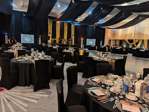 audiovisuel-sonorisation-soiree-gala-chateau-royal-laval.jpg