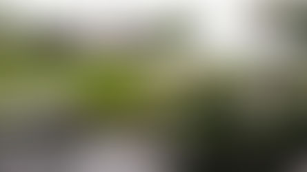 Jenny & Martin's Wedding