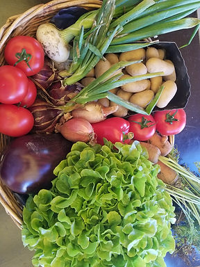panier 09.08.jpg