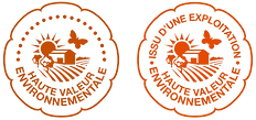 Logos-HVE-removebg-preview.png