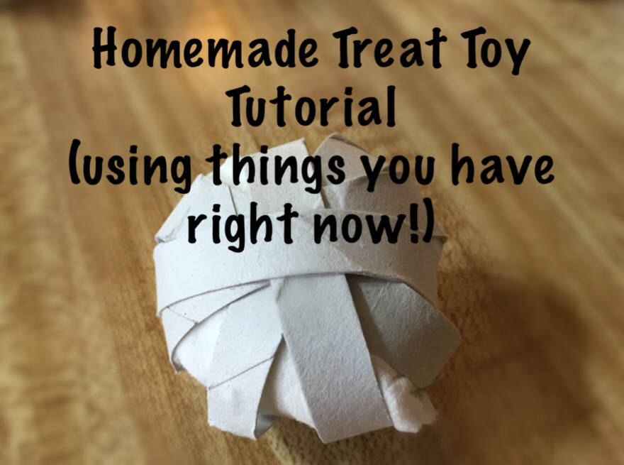 rat boredom breakers