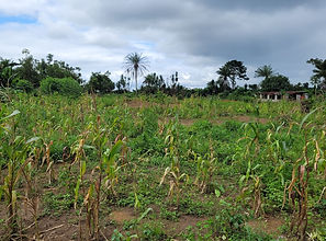 WhatsApp Image 2024-08-06 at 4.46.40 PM(1).jpeg