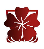 LOGOREMOVE_edited.jpg