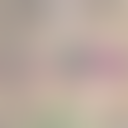 An Interview with Jenn DeRose of Known and Grown STL