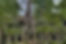 ancient-3773934_1280.jpg