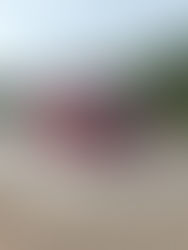 WEEK 23 – Townsville & Orpheus (Australia)