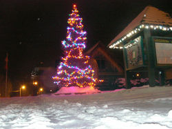 Small town Christmas tree