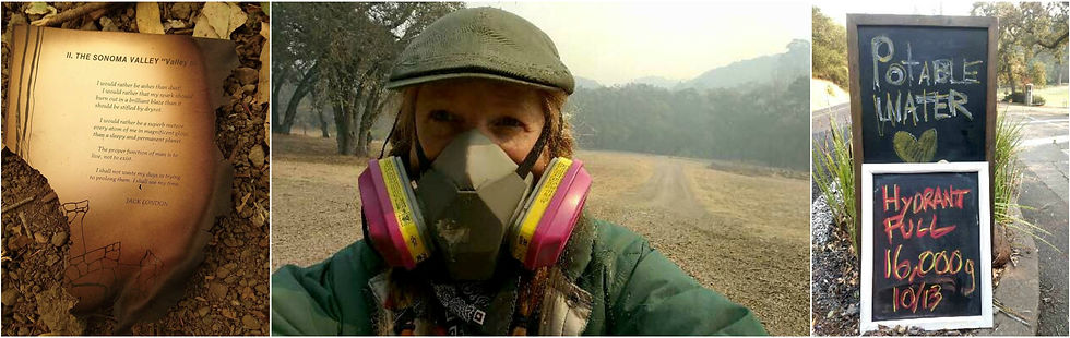 Images from the October firestorms