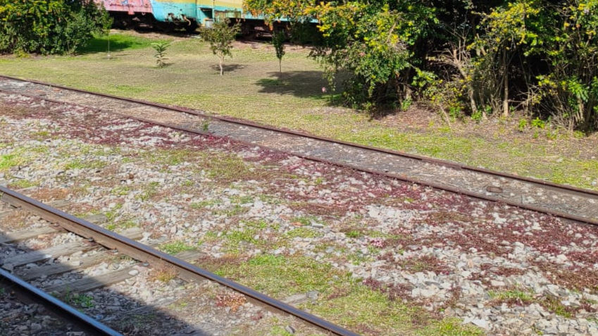 Malha ferroviária do RS encolhe após enchente e expõe crise logística