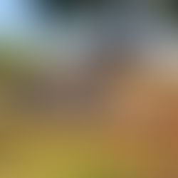 Casa do Leite, em Cachoeirinha, passa por melhorias estruturais para qualificar o espaço cultural e ampliar o atendimento à comunidade.