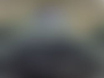 95% de los centros comerciales fueron monitoreados por el C5