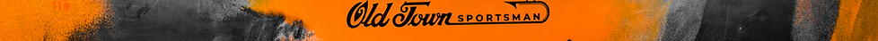 gQPPl6OQ.png