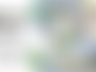 【出店続報】ロハスフェスタ淡路島 2021 秋 MAPとブースについて