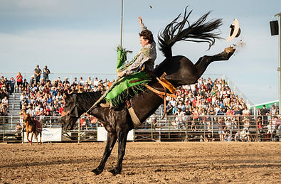 Nathan Shoutis_LOTRA Rodeo_13.jpeg
