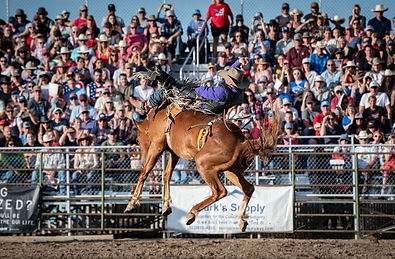 Nate Shoutis_LOTRA Rodeo 09.jpeg
