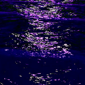 purple wave