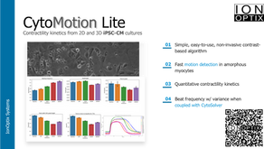 心臓スフェロイドからのリアルタイム収縮動態解析