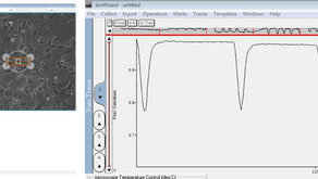 IonOptix の新製品 CytoMotion（iPS心筋細胞収縮性解析）