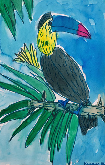 Toucan Student Sample