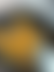 לביבות מיקי