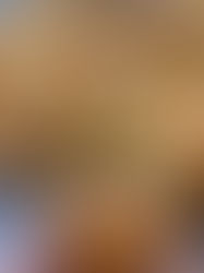 לחמניות בשר