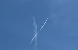 x.jpg