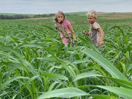 Breakout Regenerative Leadership