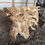 Thumbnail: 47" Raw Edge Teak Root Console