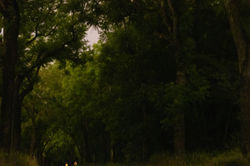 Montagne Noire, France