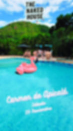 Copy of Historias WhatsApp TNH-19