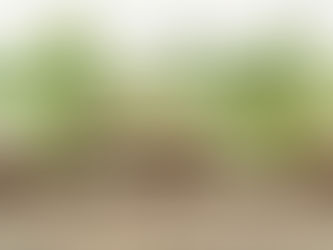 Come organizzare un wedding weekend vicino a Milano