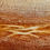 Thumbnail: Desert Series: Resilience