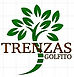 GT logo sm.jpg