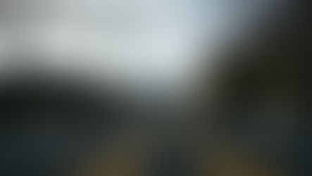 The United States Armed Forces and Their Role in Domestic Affairs: Part 2