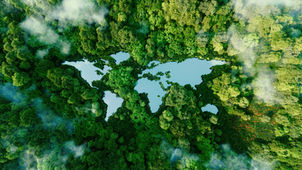 Climate Change Policy Options