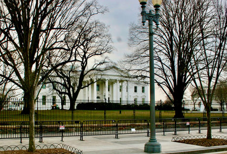 An Introduction to the Presidential Cabinet: Part 1