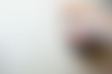 Principled Voter Part 10: Principled Voter Promise