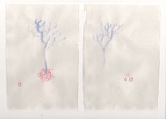 Scan 17.jpeg