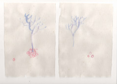 Scan 17.jpeg
