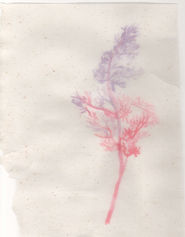 Scan 1.jpeg