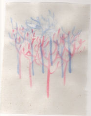 Scan 4.jpeg
