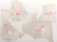 Scan 27.jpeg