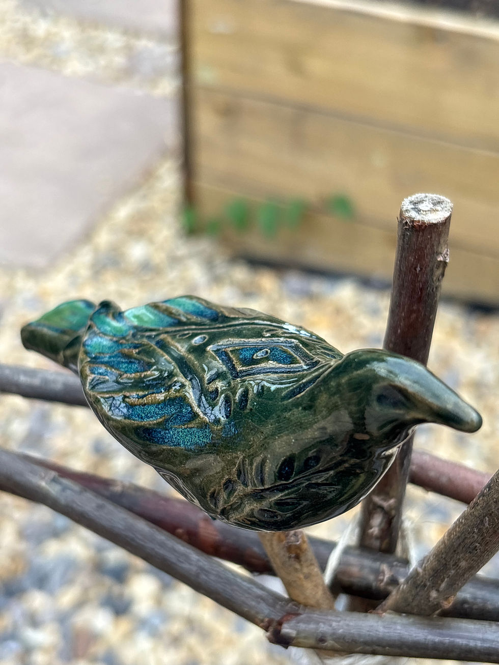 Thumbnail: Plant Guardian II