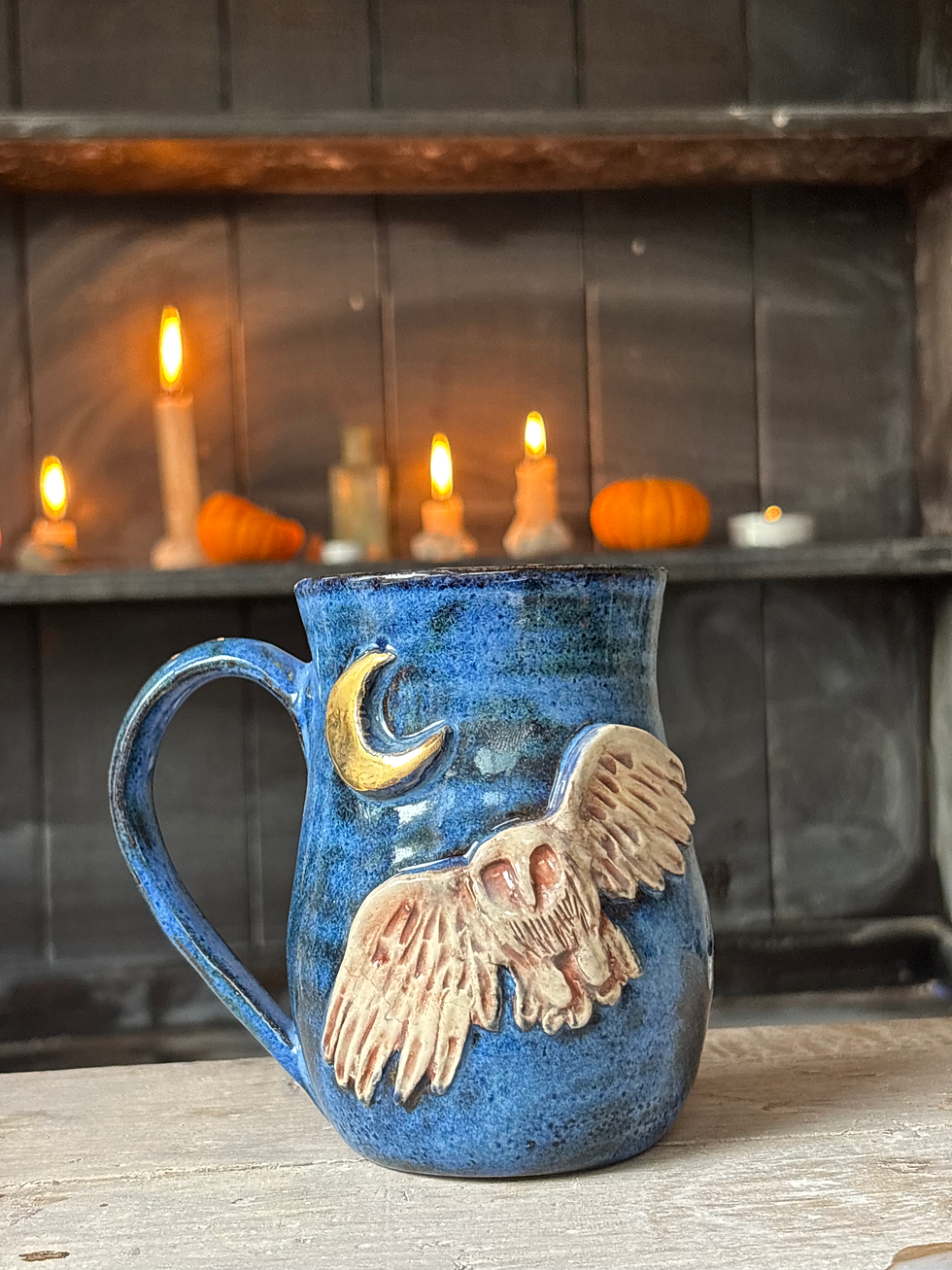 Thumbnail: Midnight Owl Mug