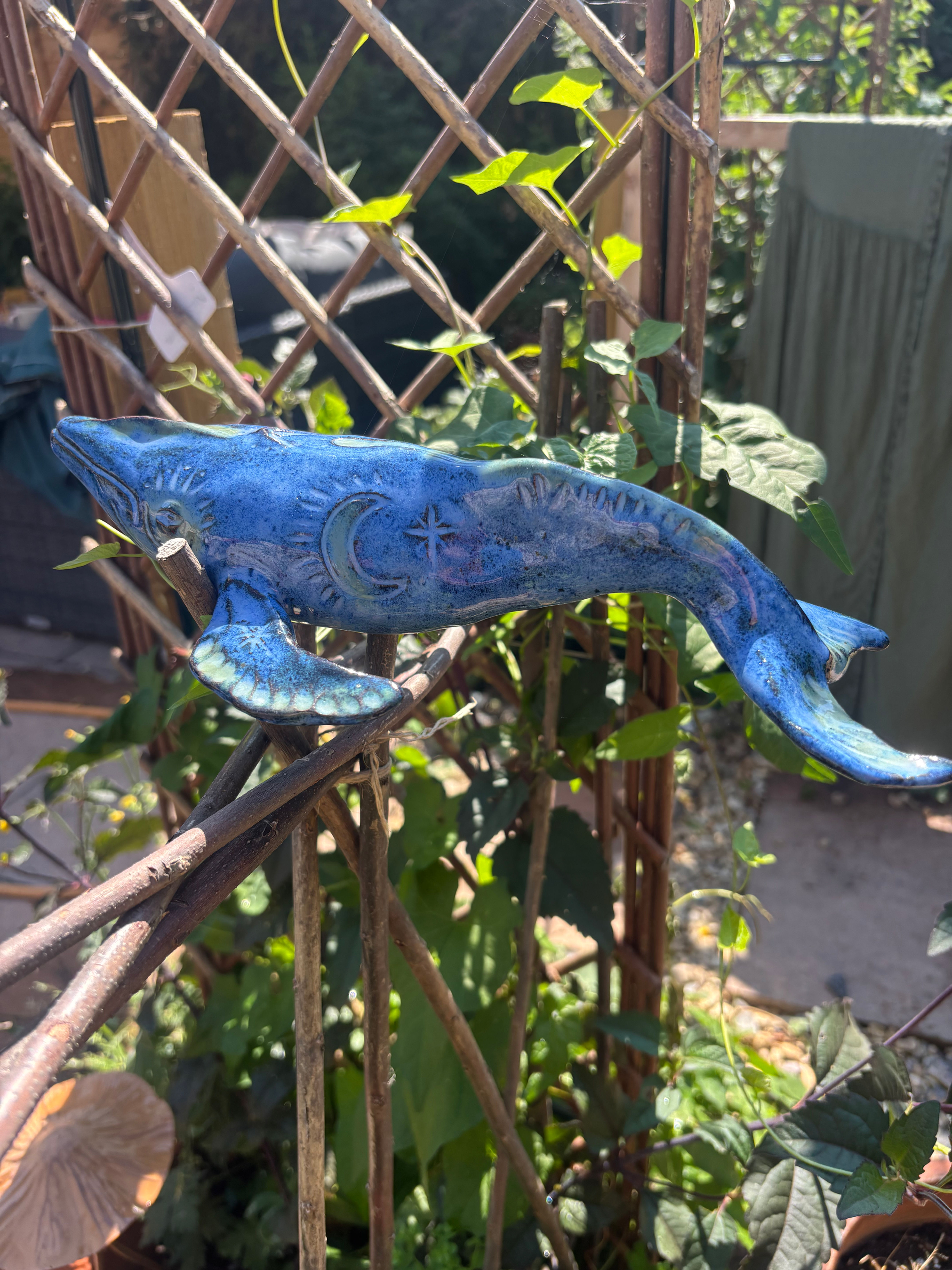 PRE-ORDER - Celestial Whale