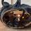 Thumbnail: Black Cat Pumpkin II