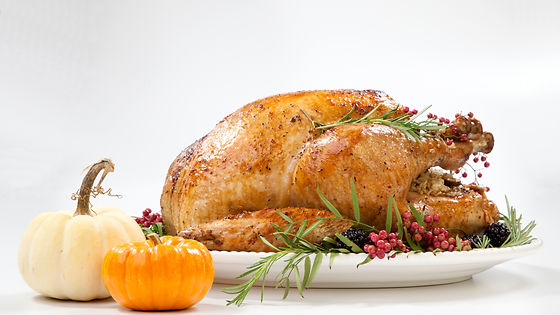 Just the Turkey