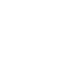 iconos-03.png